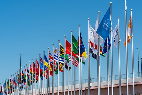 European States Can Lead Militarily–a New Cato Policy Analysis